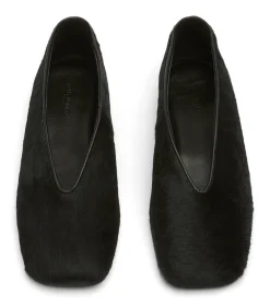 Concorde Black Pony