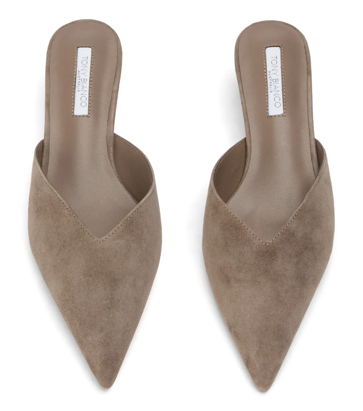 Connie Ashen Suede