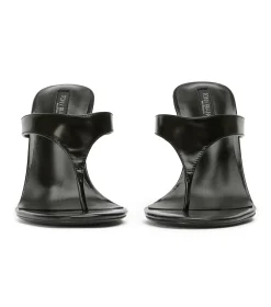Dynasty Black Hi Shine