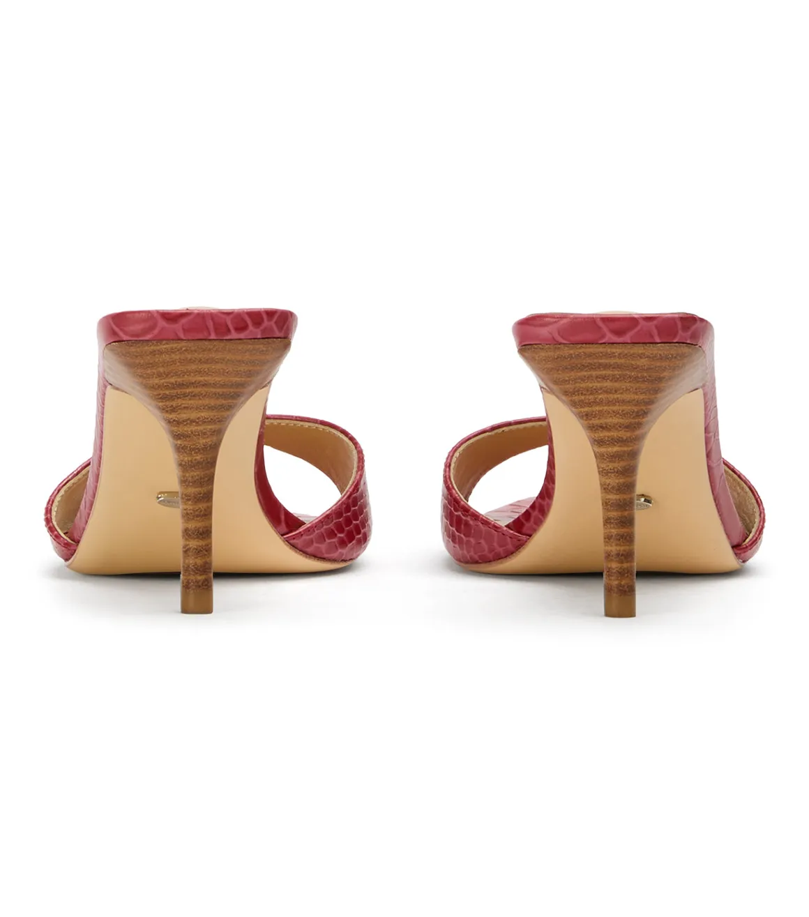 Hallie Scarlet Python