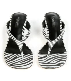 Krista Zebra