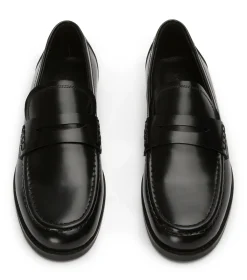 Zac Black Hi Shine